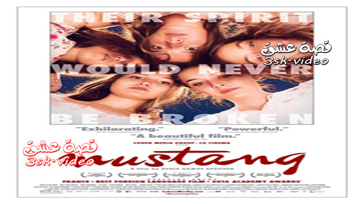 فيلم الحصان البري مترجم