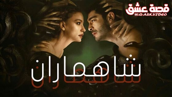 مسلسل ‎شاهماران‎ الموسم الثاني الحلقة 6 مترجم – الأخيرة