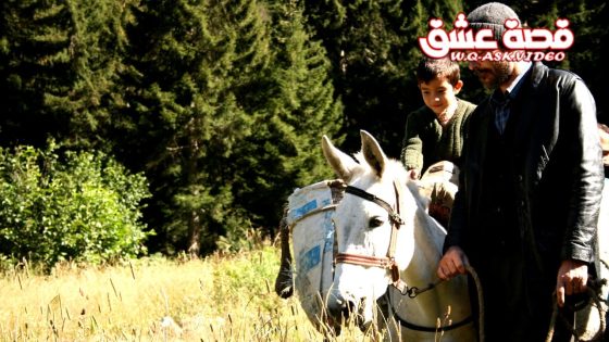 فيلم عسل مترجم