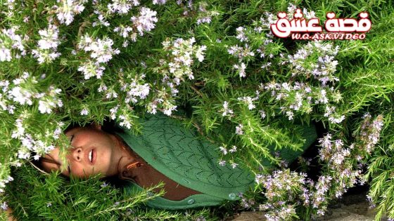 فيلم بيس فاكيت مترجم