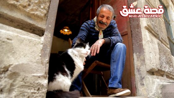 فيلم كيدي مترجم