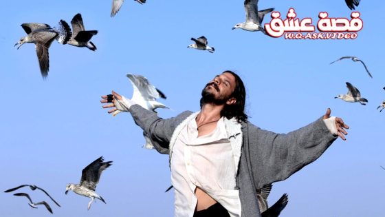 فيلم سيد النوارس مترجم